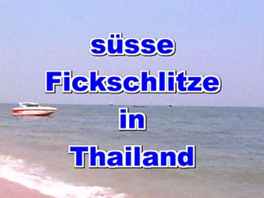 Heisse Fickschlitze auf der Insel