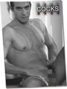 Calendrier 2023 Real Cocks
